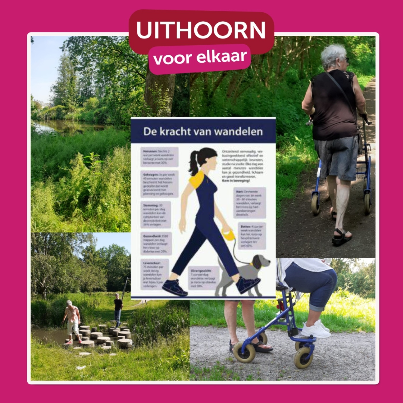 Wandelen ontspant uw brein.jpg